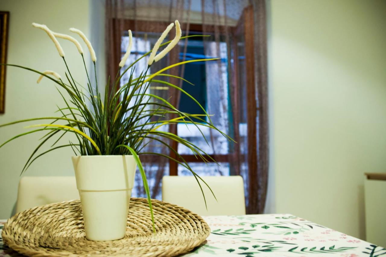 Apartman Flower Szybenik Zewnętrze zdjęcie