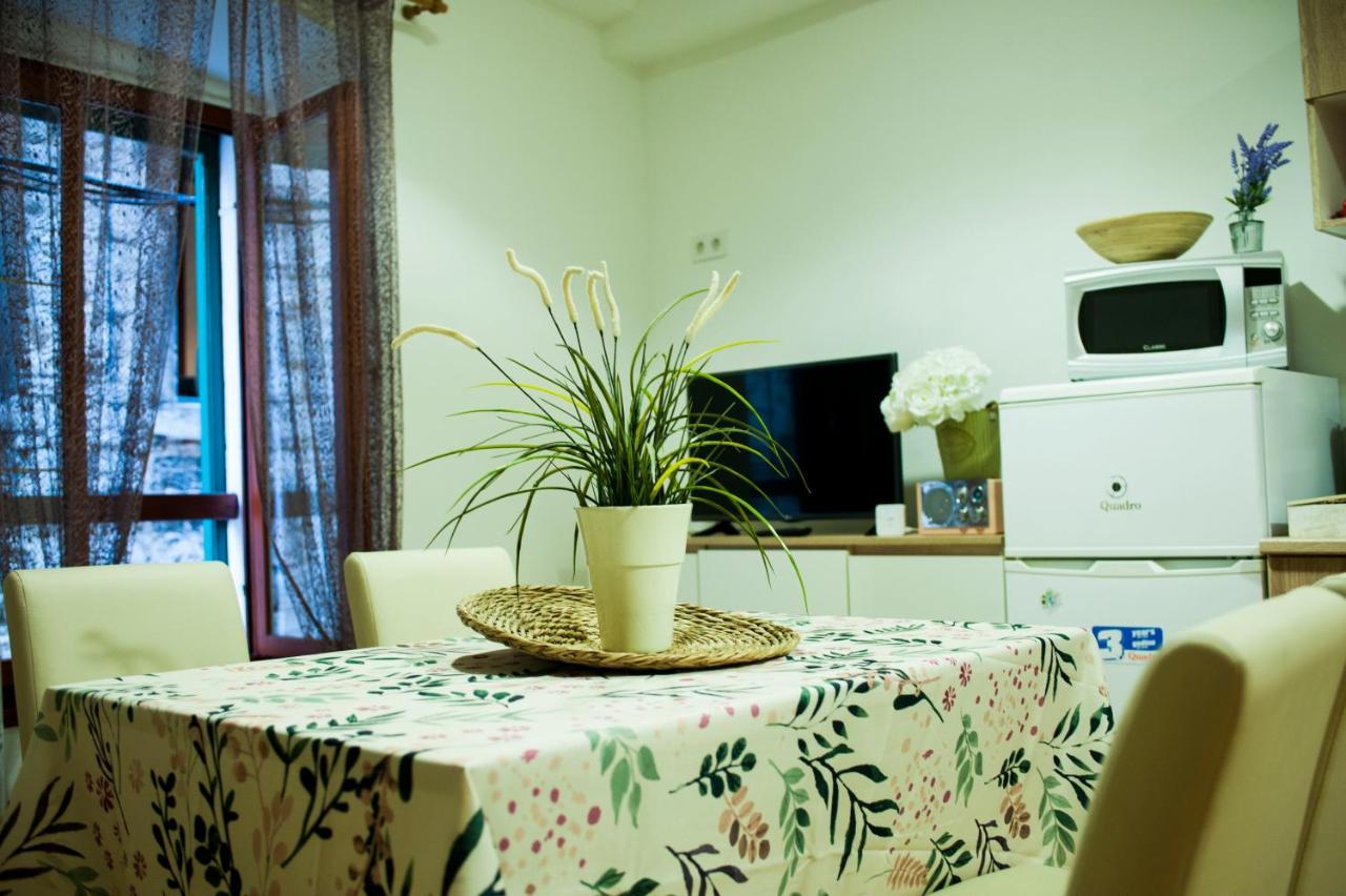 Apartman Flower Szybenik Zewnętrze zdjęcie