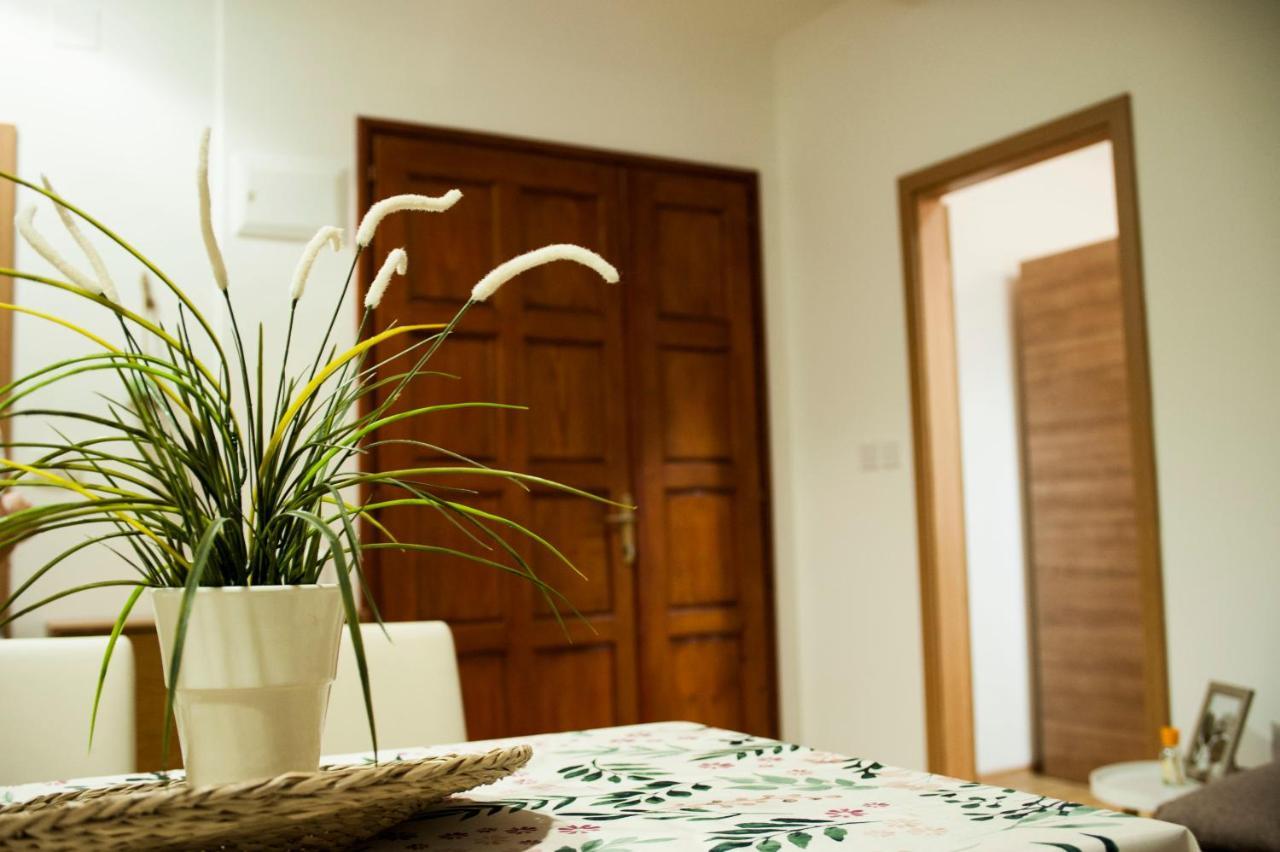 Apartman Flower Szybenik Zewnętrze zdjęcie